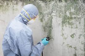 Professional Mold Remediation in Folcroft, PA